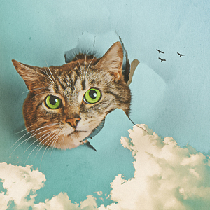 扒开❌狂揉❌真人❌捆绑男男小说
